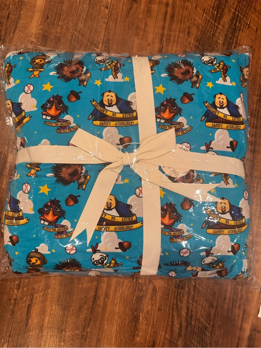 60x60 Chicken Little Bamboo Minky Blanket
